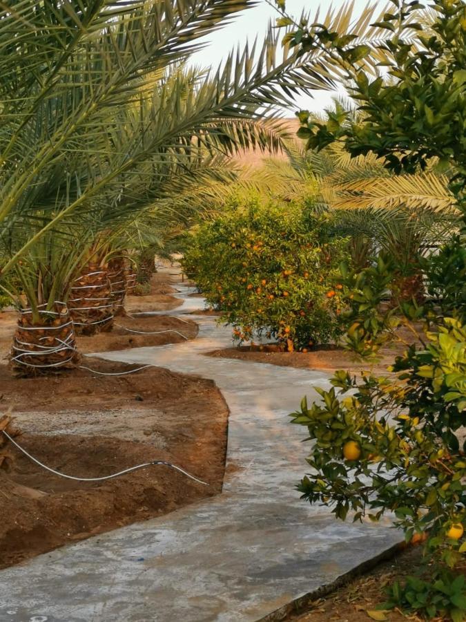 Almazham Camp Resort Al Ula Exteriér fotografie