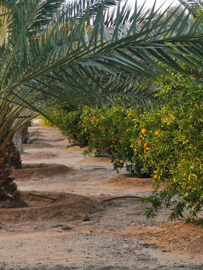 Almazham Camp Resort Al Ula Exteriér fotografie