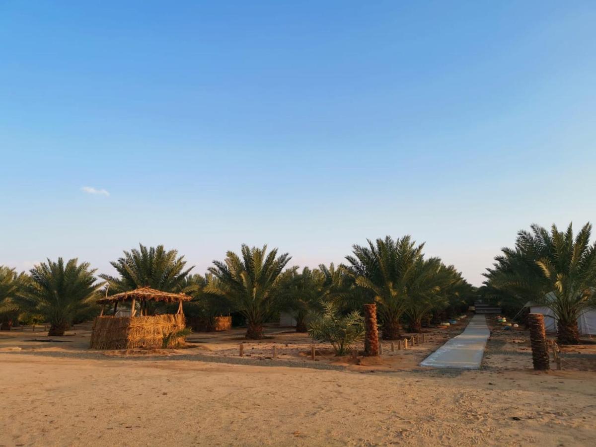 Almazham Camp Resort Al Ula Exteriér fotografie