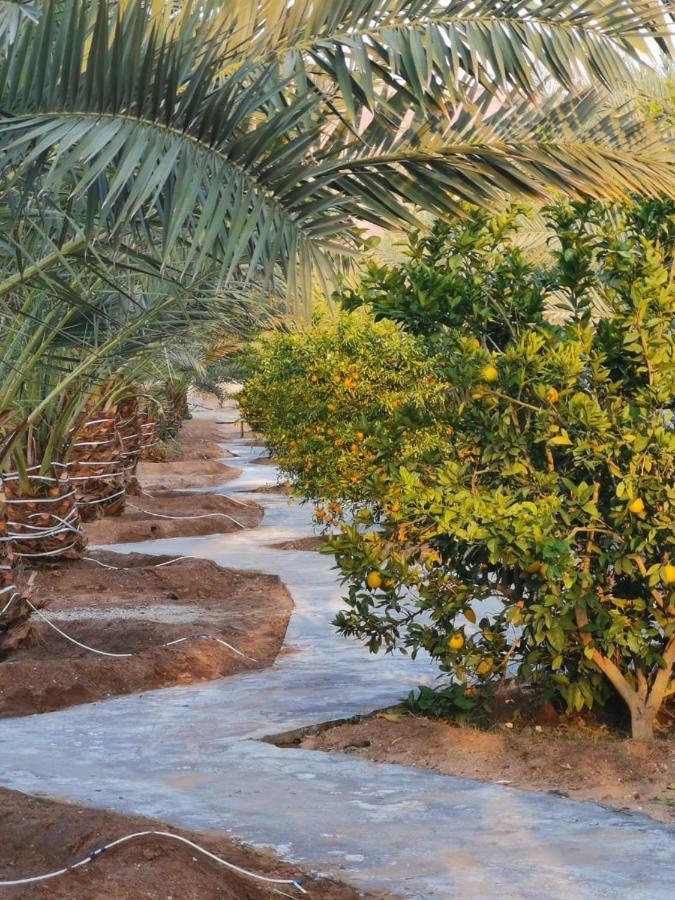 Almazham Camp Resort Al Ula Exteriér fotografie